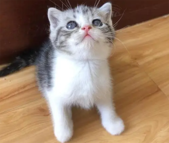 èпȮ