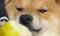 ܳ