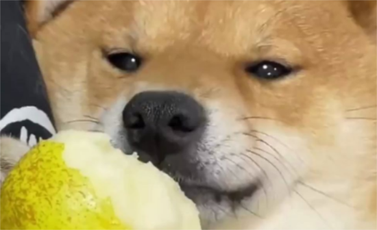 ܳ