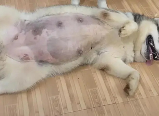 ÿϴ裿