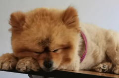 ˯ʱίĿ