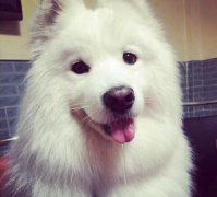 ѵ»?
