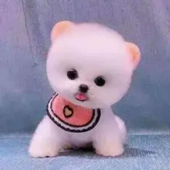 ʲôǹ