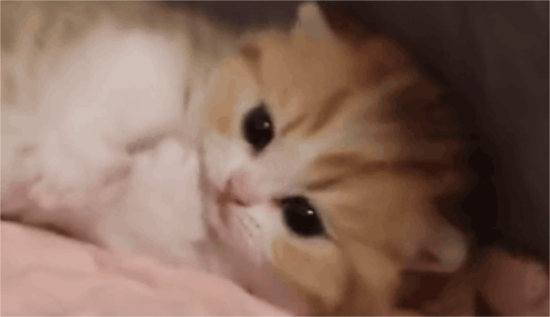 ʵսƪ׶èιԣԺ
