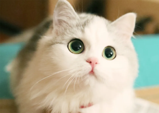 Ϊɶҵèȴңèϲ˵ı֣
