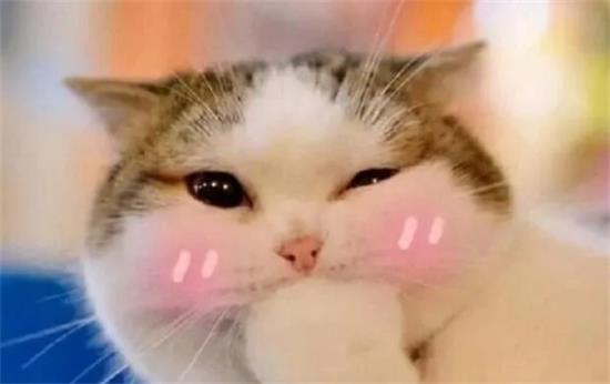 Ϊʲôèϲ˯űߣЩԭ򣬺ܶʺٶ֪