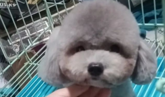 ﵽǰ׼嵥(ƪ)