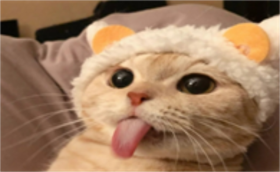 èͷɶ˼