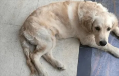 ͻȻվ