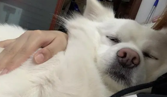 ͻȻճʲô