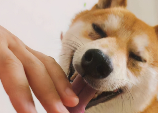 ˵ʲô˼