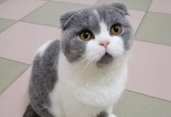 èѪˮô èѪˮ