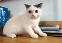 è»ˮϡ èŻ¸кԭʲô