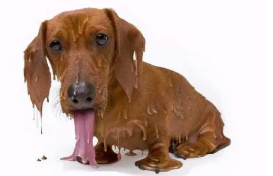 ½˻Σô