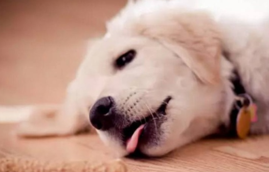 ˯