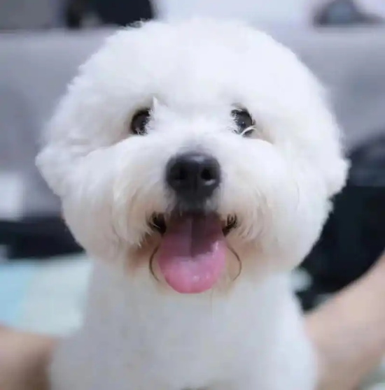 ˮôٲˮ