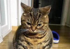 ĸèô ôè估ʱҽ