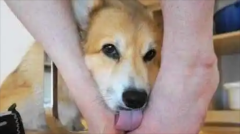 ϲ˽Ŵʲô
