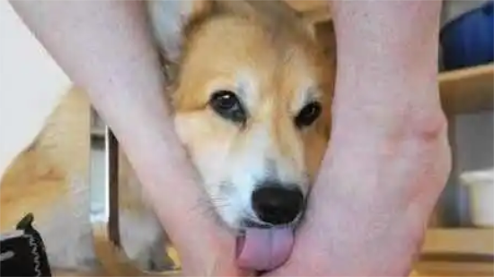 ϲ˽Ŵʲô