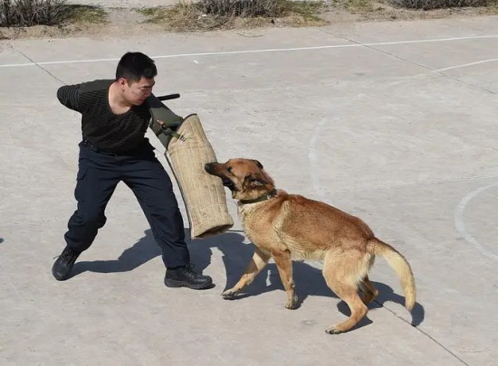 ѵʱȷҪ