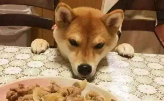 Ϊʲôι