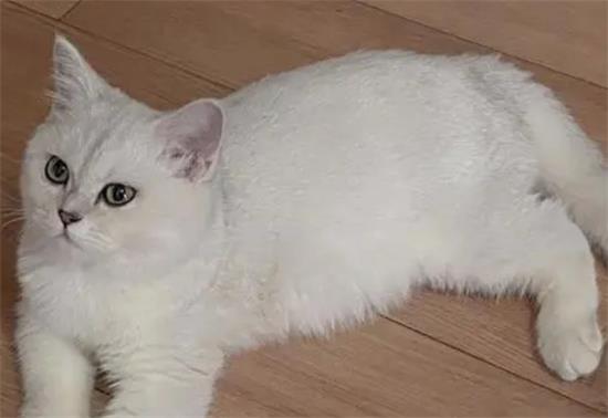 Ʒʲôص㣿