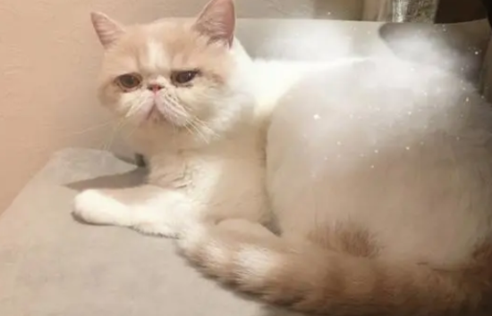 21컹28 èͳè