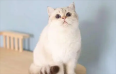 è޺ôƺõÿ è޺ǲǲ