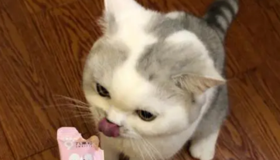 èʳЩ