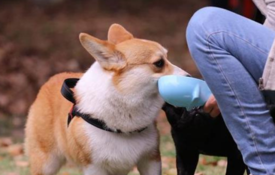 ġֽšҪ