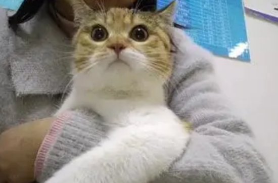 èpcröǮ