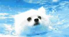 棡йӾ⼸ֹӾ