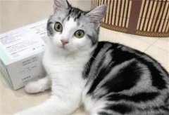 Ը˳ļèҲʺ