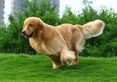 ëʼë