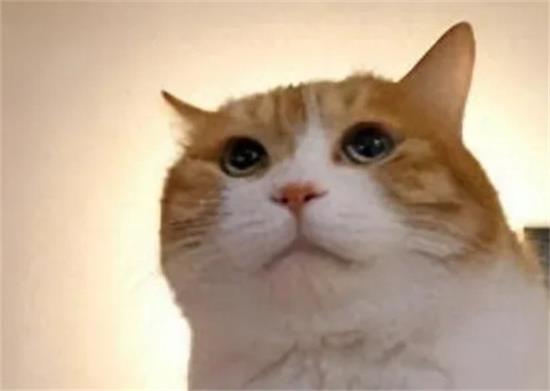 è䡰˼6֣쿴èûУ