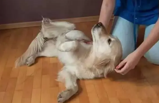 ëȮ˵ı֣ЩΪ