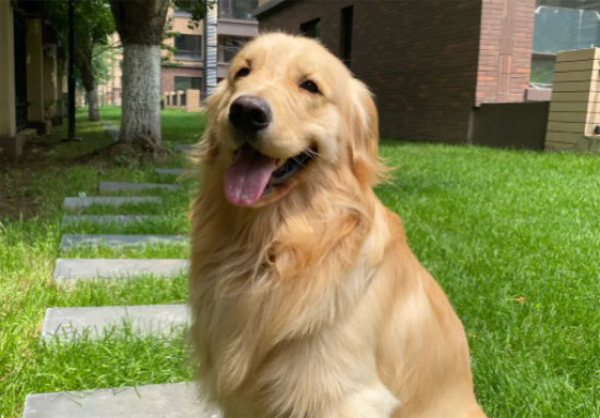 ëȮ˵ı֣ЩΪ