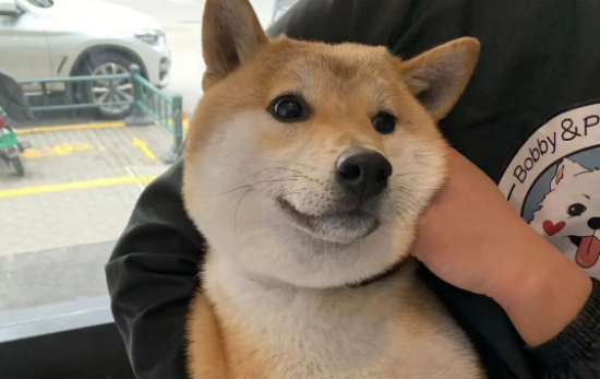 ȮŻ°ĭԶô