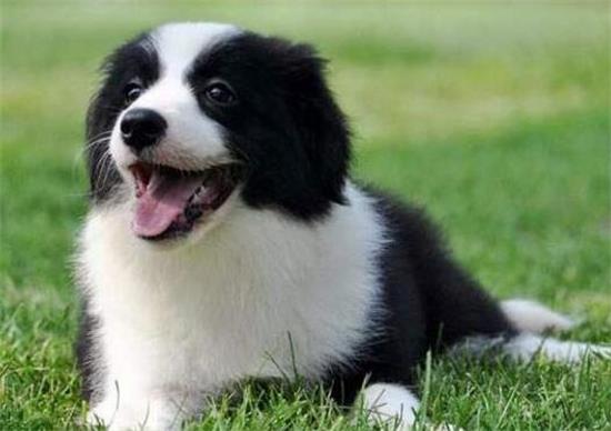 Ȯʲô