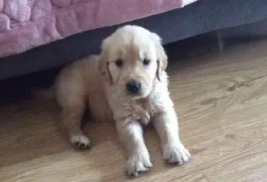 ë¶󣬿ˣ
