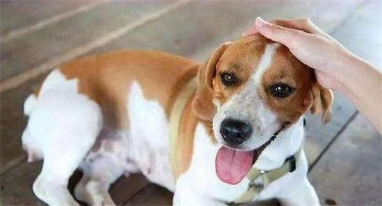 ڹʲôλ