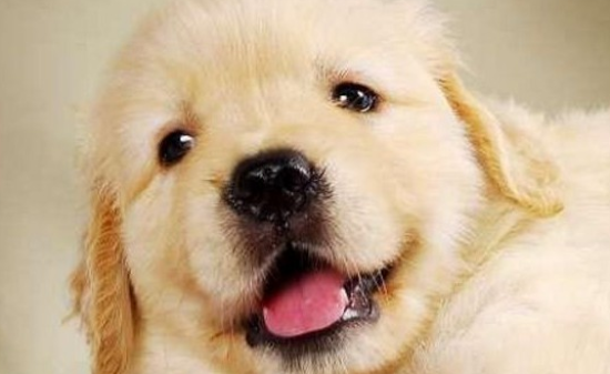 տݣëȮòùӣ