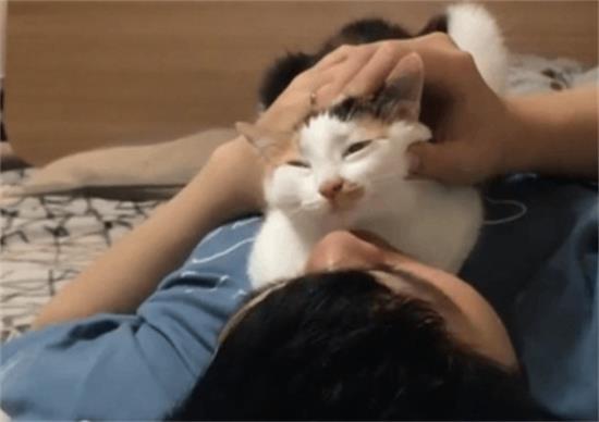è˼ˣ7Ϊ