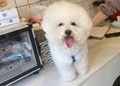 ʺʲô