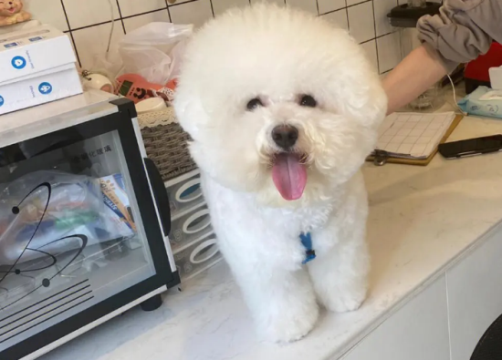 ʺʲô