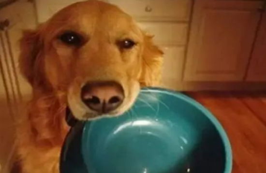 аֹԴ˺Ƹ飡