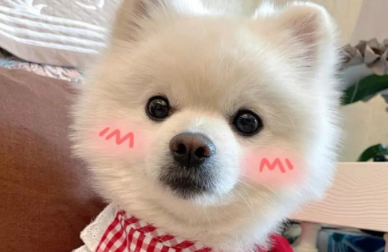 аֹԴ˺Ƹ飡