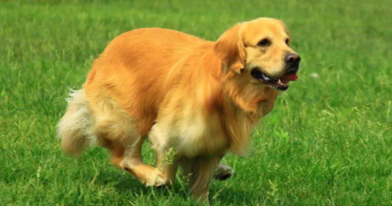 ëΪʲôô˳֪