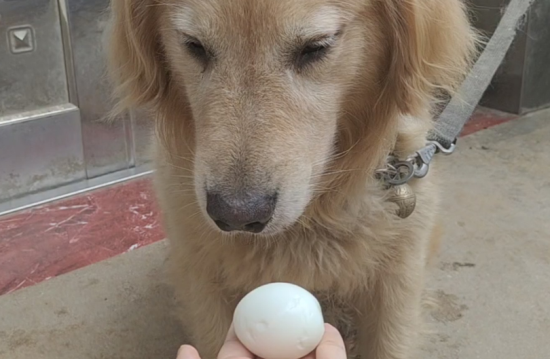 ëܳԼԭʲô