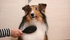 ôùԼ
